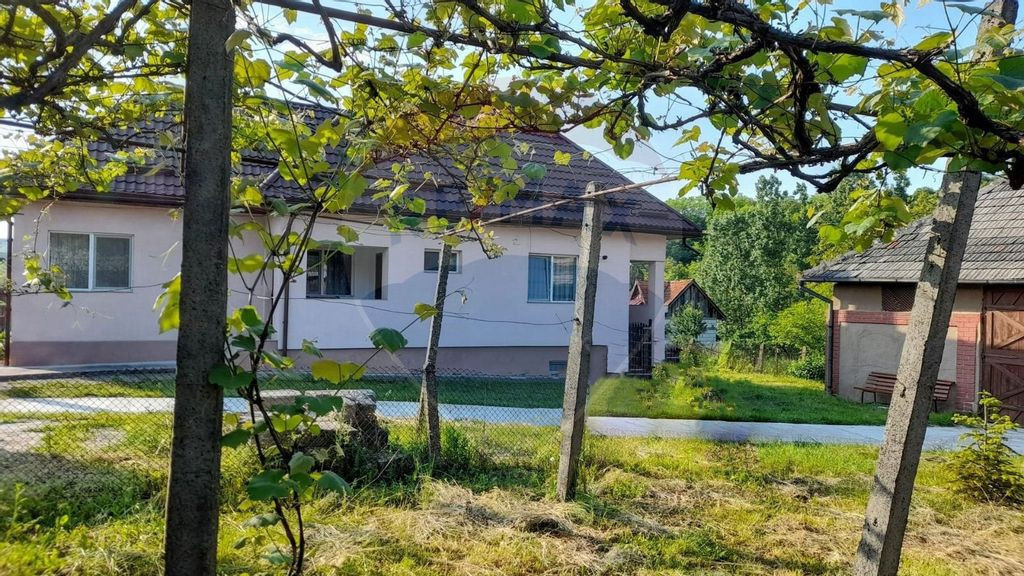 DE VANZARE- GOSPODARIE cu 95 arii teren