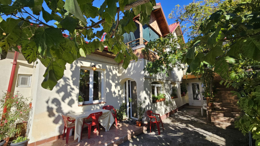 Casa curte- Metrou Pieptanari