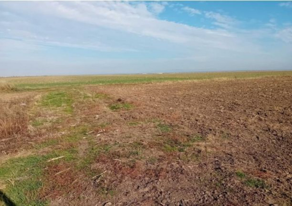 Cota de 3/8 din teren extravilan, Sacosu Turcesc, Jud Timis