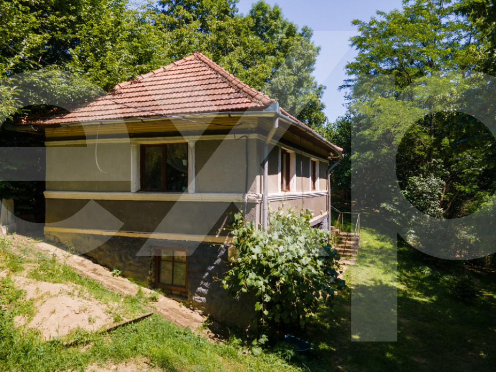 Proprietate cu potențial turistic, în zona Negreni – Buc