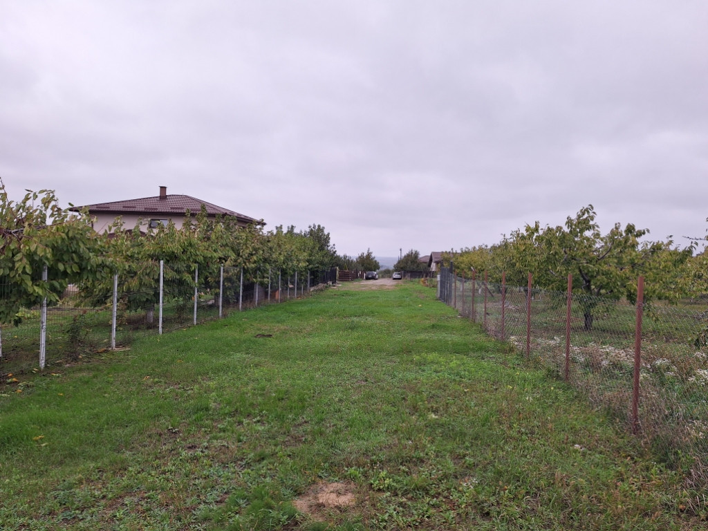 Teren intravilan 550mp