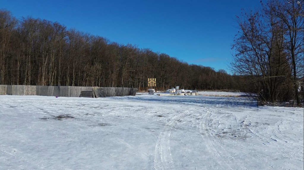 Teren Intravilan langa Padure 10.000 mp 1 hectar Suceava