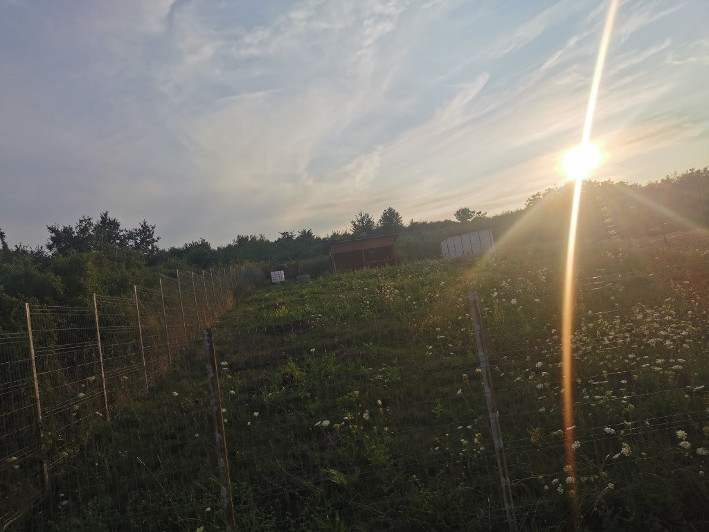 Teren 856mp Strada Sfintii Voievozi Barnova.