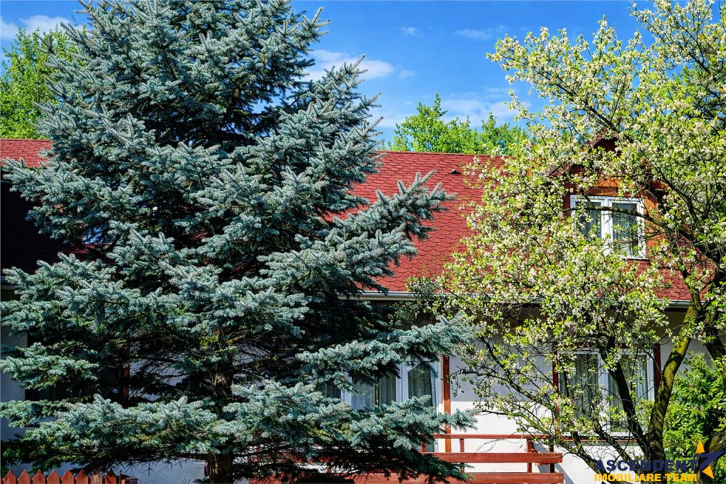 In Vintage style, cu acces auto in curte proprie, zona Star