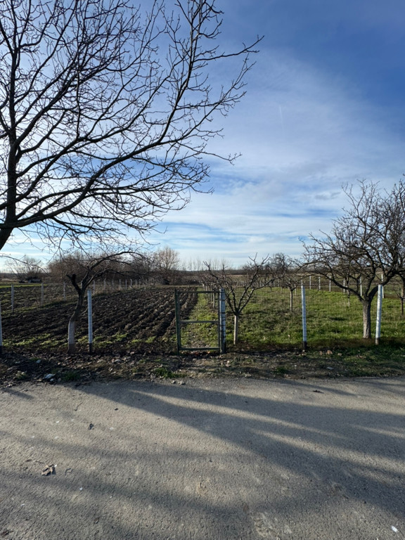 Teren Intravilan 1300mp