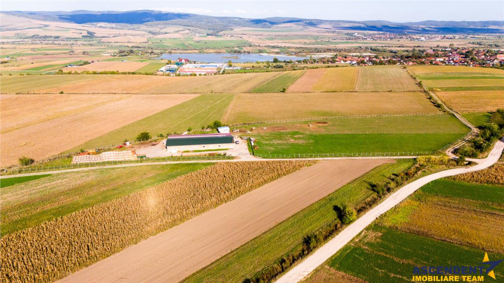 FILM! 18.000 mp,extravilan,agricol constructii, recomandat:f