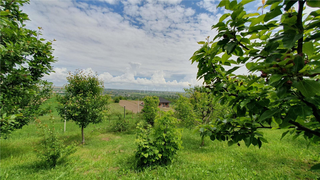 Teren intravilan - 2400 mp - 3 cabane din lemn modulare - Li