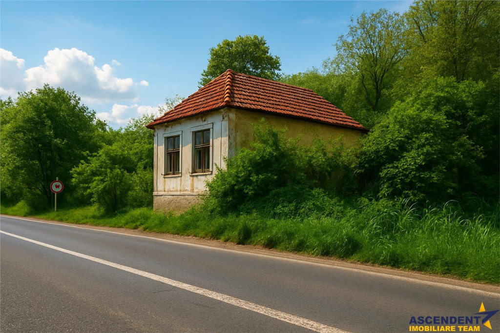 Domeniu verde autentic, 5.000mp, front la DJ, Valcele, Bra