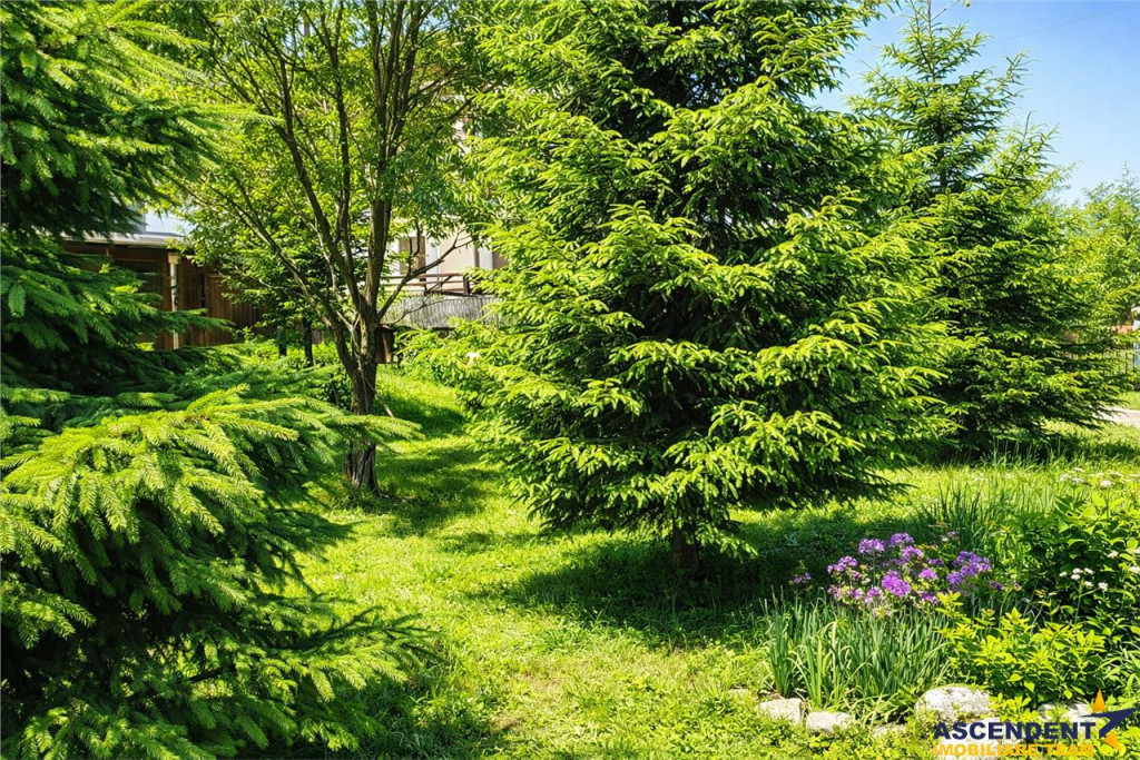 Locatie cu patru anotimpuri intr- o zi, incadrata de 2.350 t