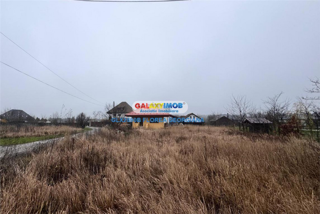 Casa de vacanta de in Satul Brancovenesc - Balteni, Peris