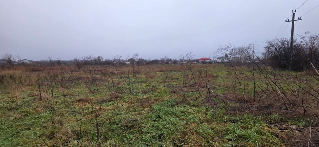 Teren 5000 mp 1 decembrie - strada Oituz