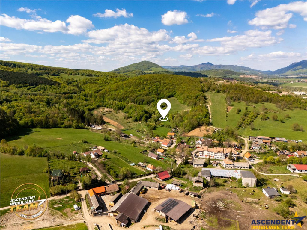 FILM! Teren extravilan, Ojdula, 4.800 mp, zona pitoreasca