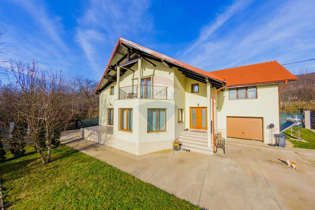 VILA DE VIS CU TEREN GENEROS, DE VANZARE