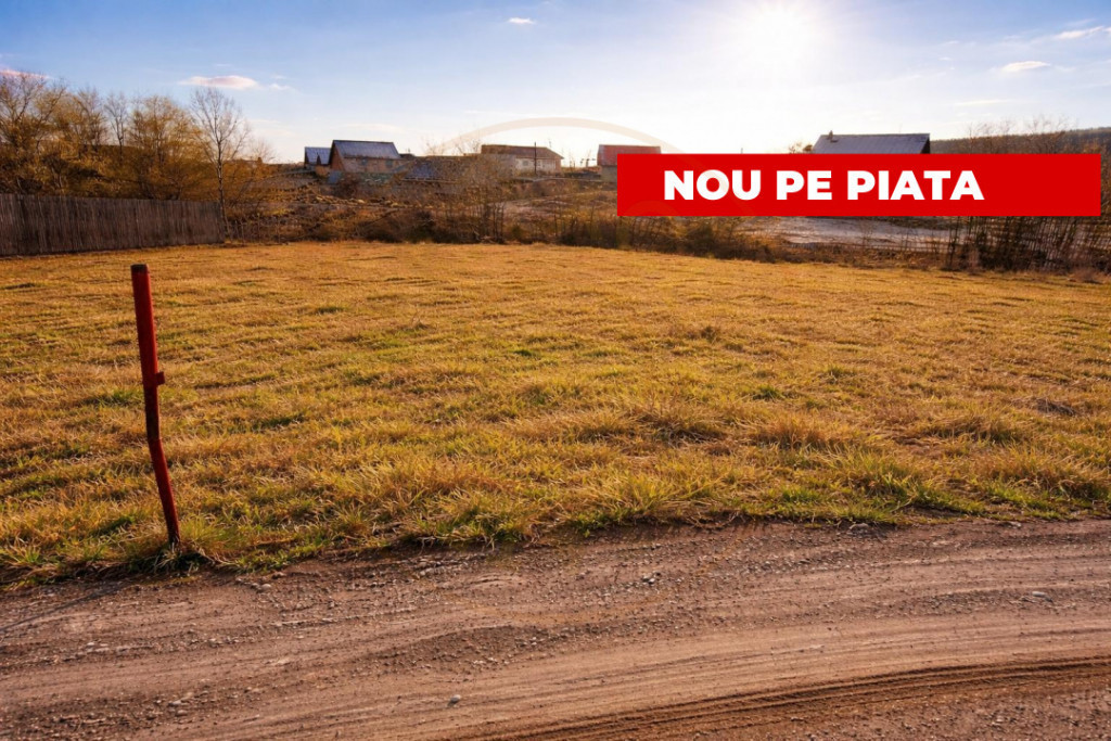 Teren 1262 m2 intravilan Smeura Stoenari