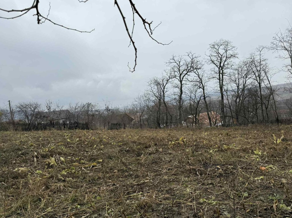 Teren Ultracentral in Rotunda