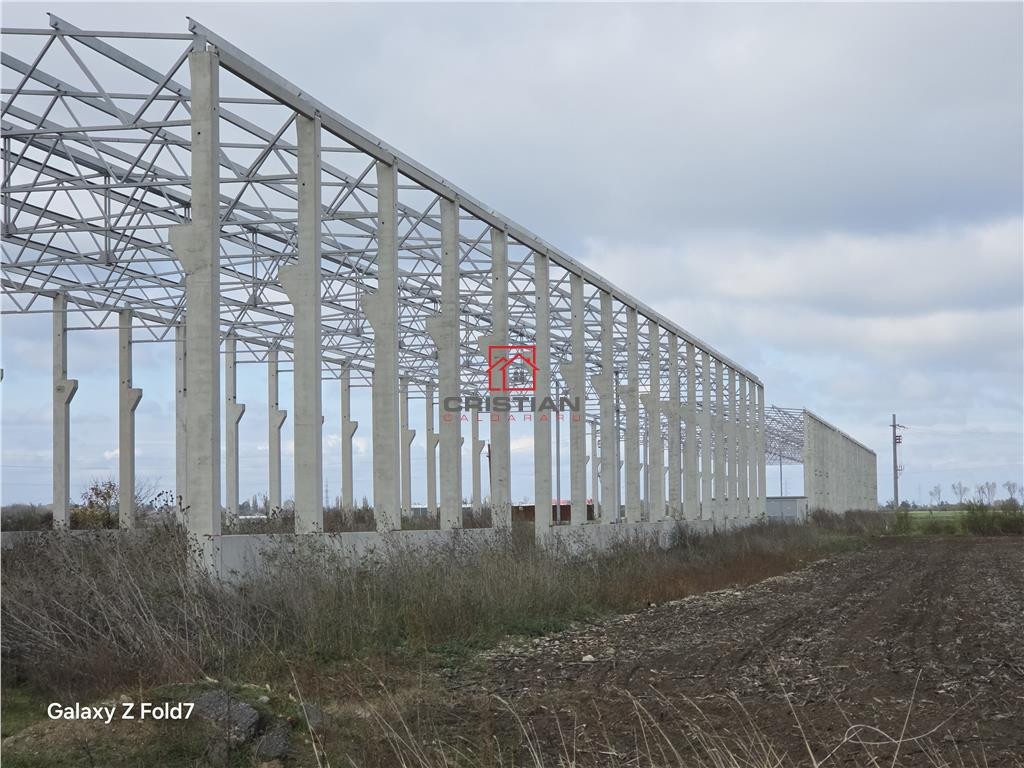 Depozit/hala/spatiu industrial Mogosoaia - Buftea