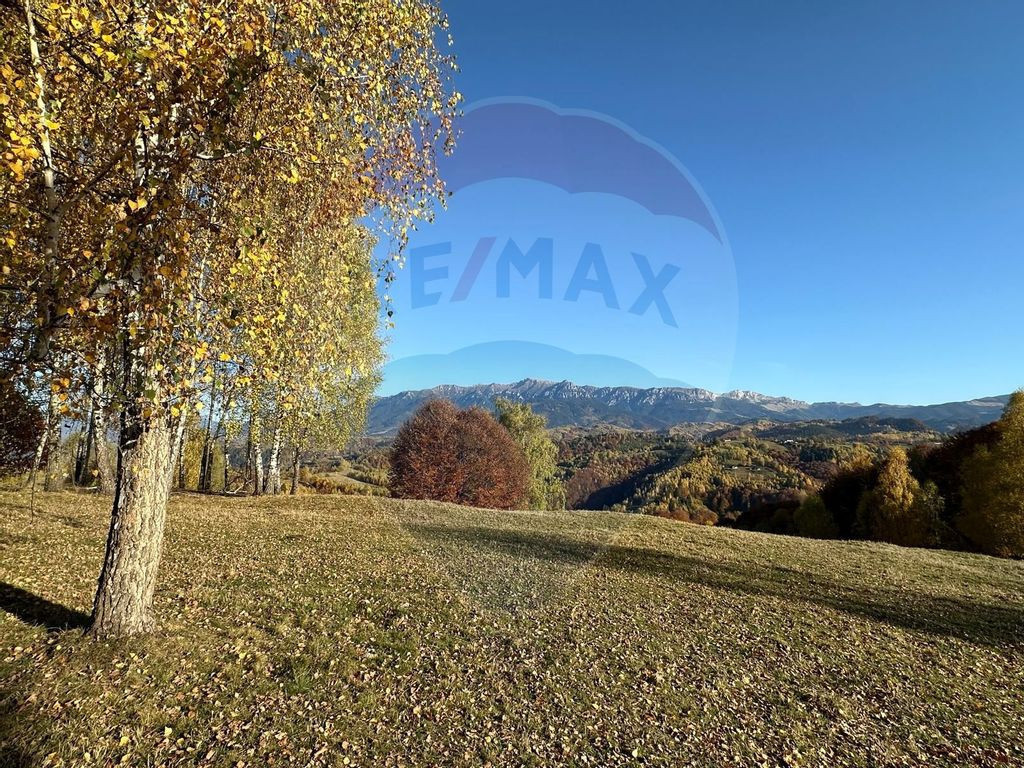 Oportunitate de investiţie ! Teren de vis în Pestera - ...