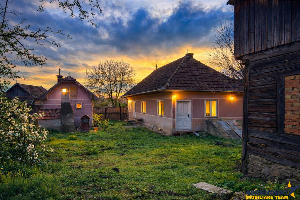 Casa rustica, cu teren roditor de peste 1.000mp, Sanzaieni,