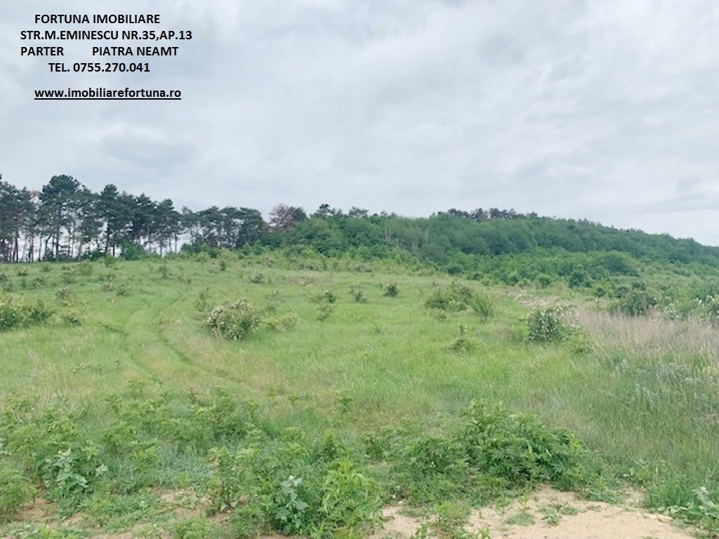 Teren zona Pietricica, cadru natural superb