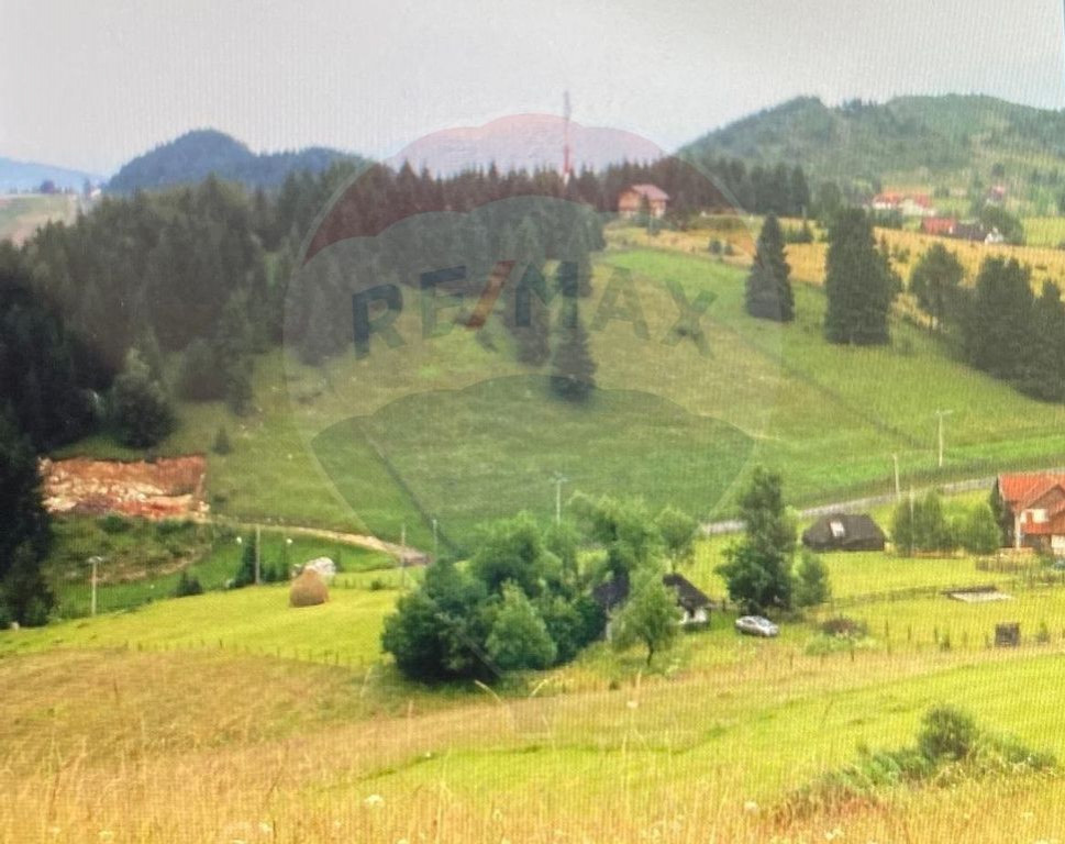 Teren de vis în Fundata 1934mp sau 3868mp, la înălțim...