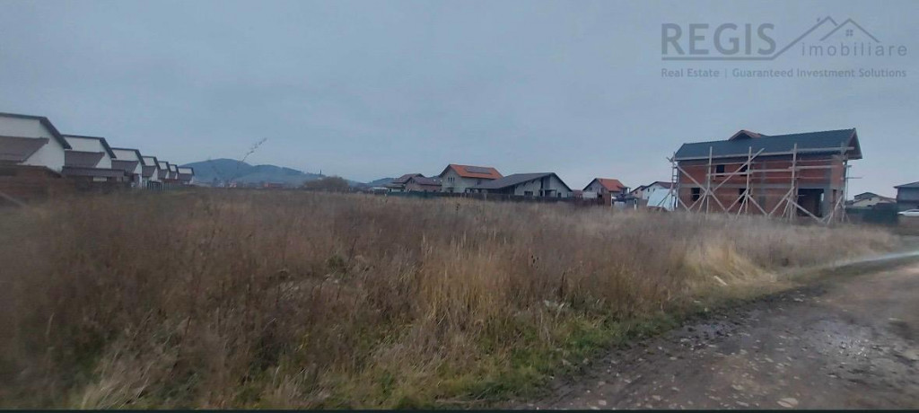 Teren Intravilan 700MP Cu Autorizatie Si Proiect Sanpetru