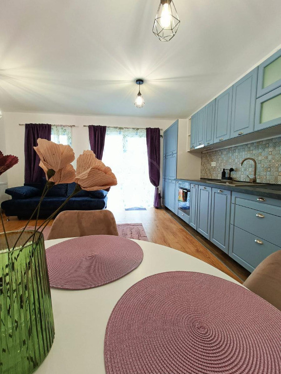 Apartament 2 camere cu gradina