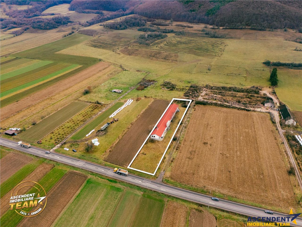 FILM! Ferma de iepuri,Malnas,Covasna: domeniu:industrial com