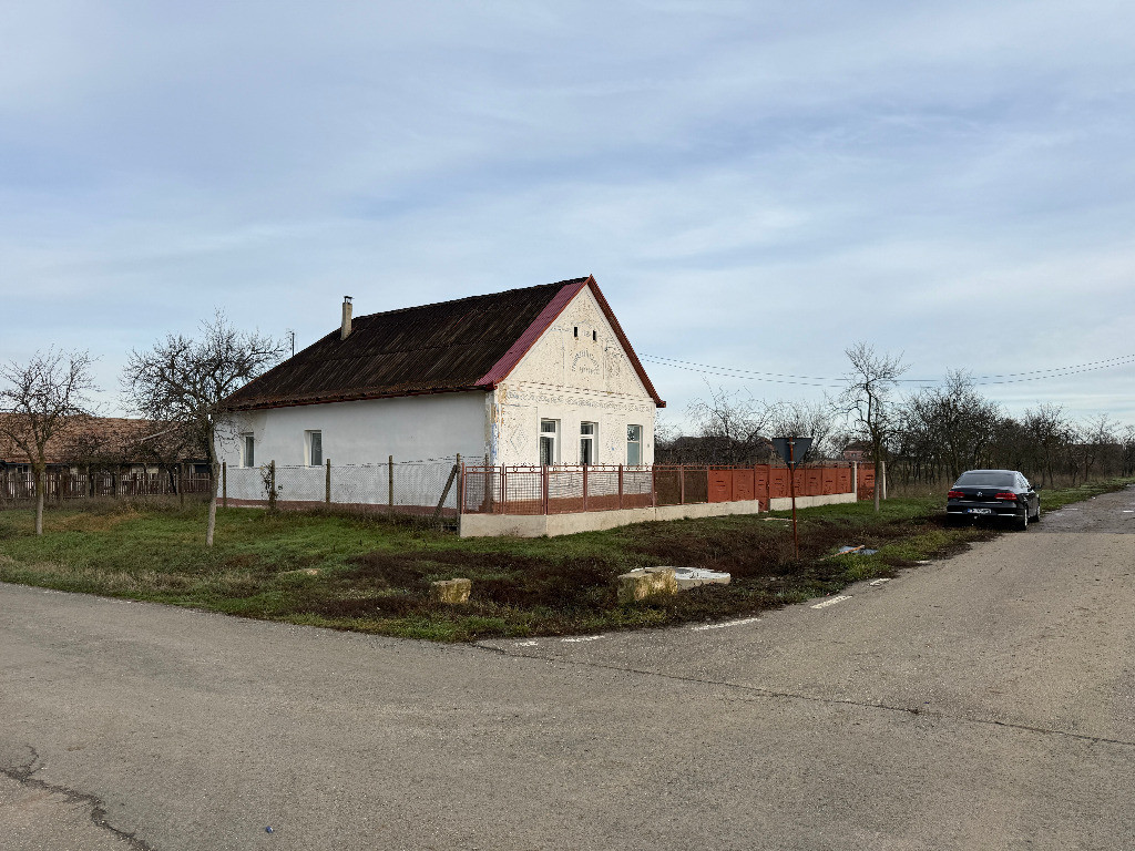 Casa în Firiteaz, 24 km de Arad, 2787 mp