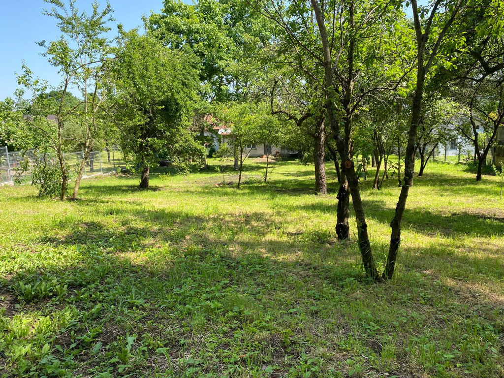 Casa cu teren 2105 mp Campina zona rezidentiala