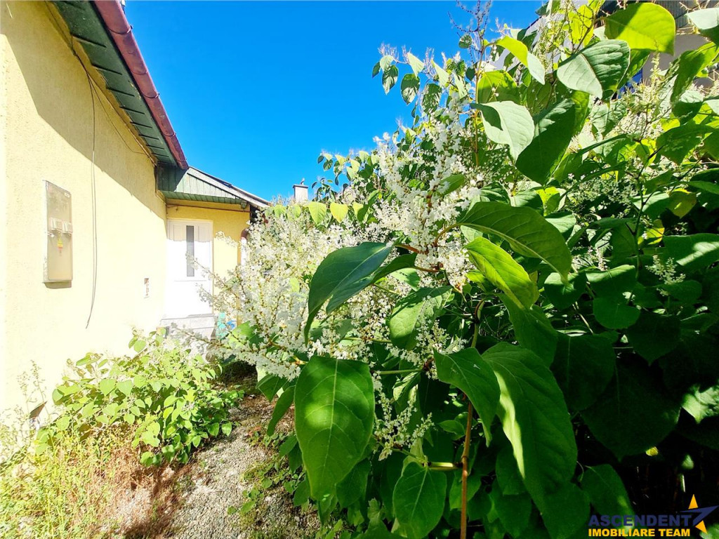 Spatiu pretabil activitati:birouri ateliere copii etc. acces