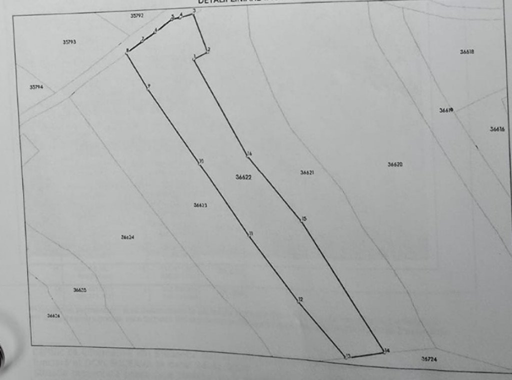 Teren 3.486 mp la drum – Iacobeni (Dandoaia) – CF + cadastru