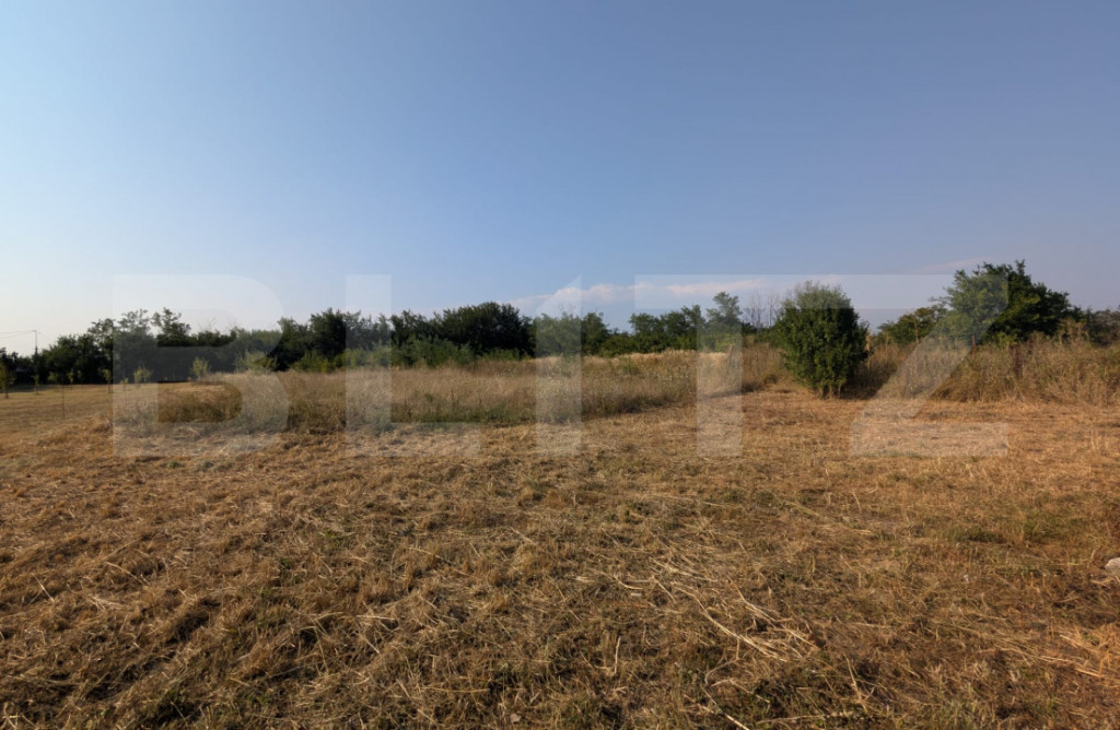 Teren intravilan pentru construcție case – Priseaca, jud