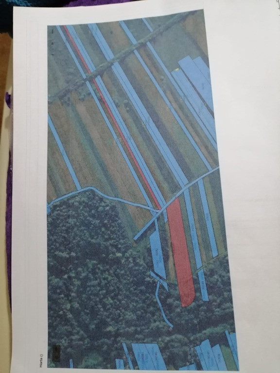 Teren agricol intra si extravilan 6200mp