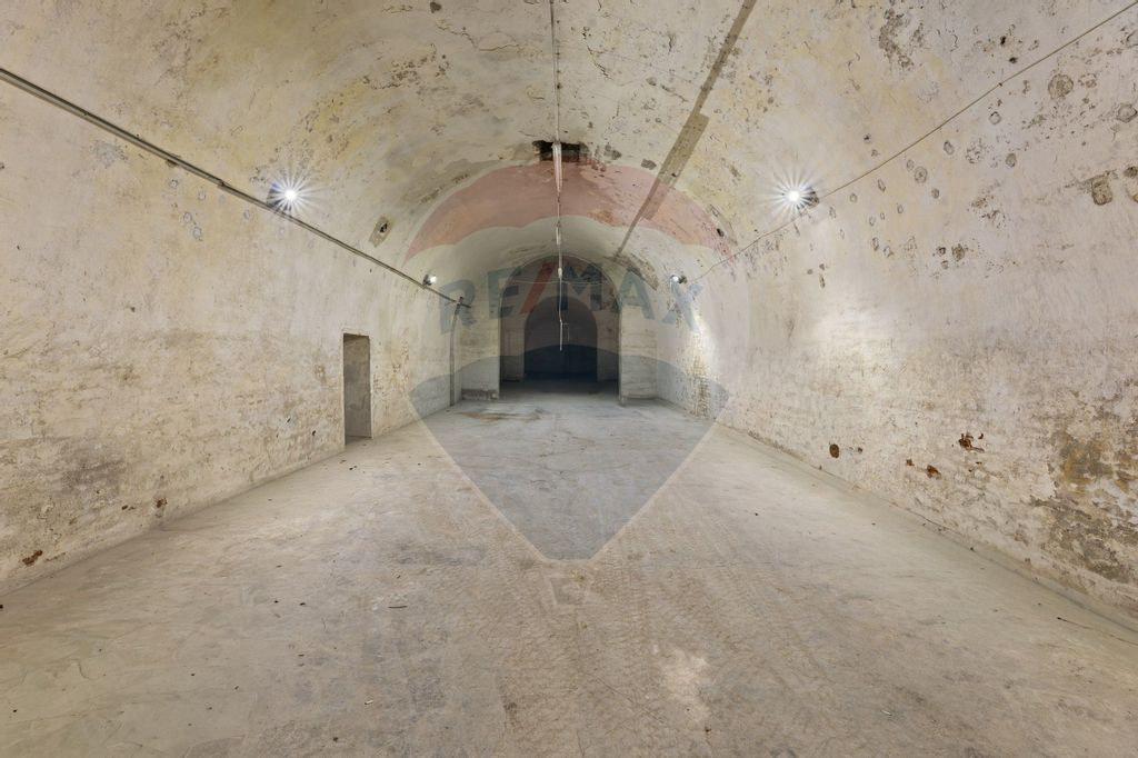 Spațiu comercial de 500mp de închiriat în zona Aradul Nou