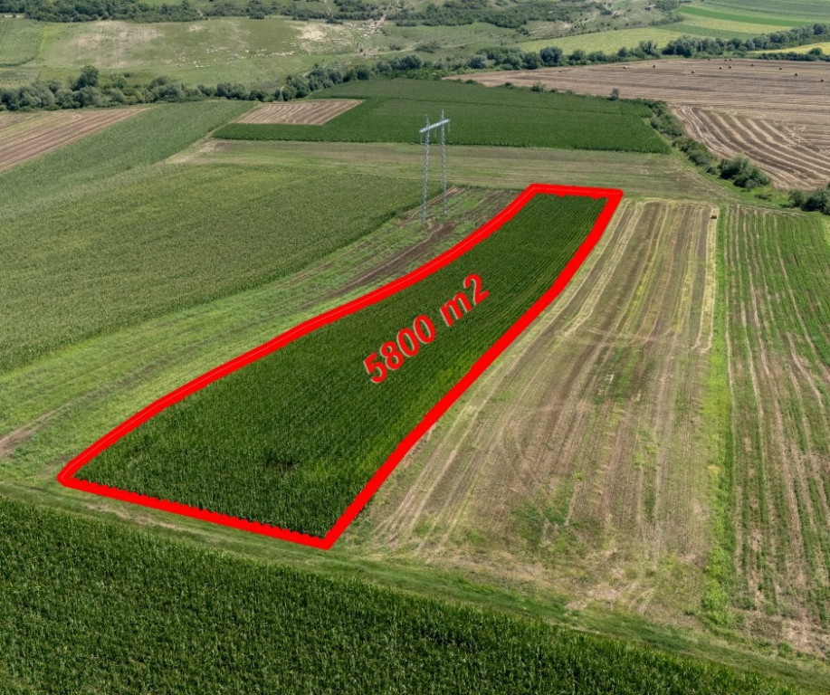 Teren agricol 5800mp