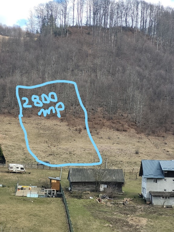 Teren intravilan 3 loturi de 6000, 2800 si 12000mp