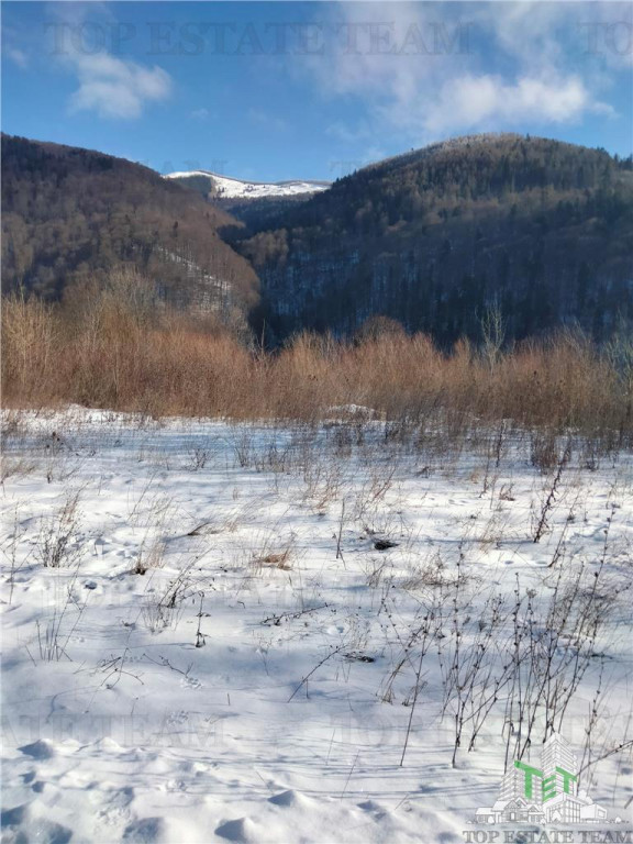 Teren Intravilan Sinaia 444 mp