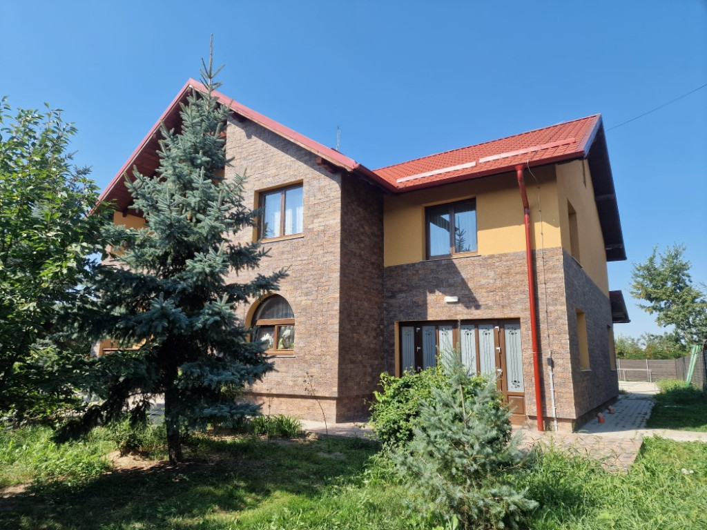 Proprietate deosebita, ocazie de investitie, Cosula, Botosani