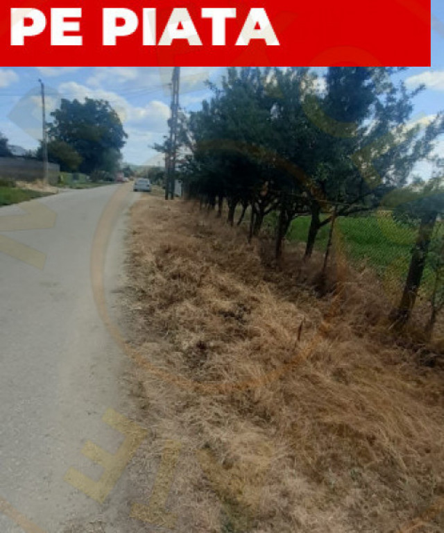 TEREN ZONA MUZEUL GOLESTI ARGES!!