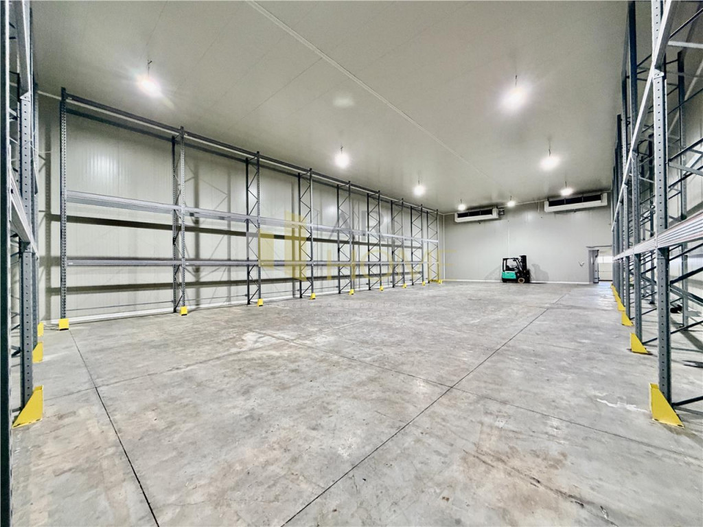 Hale noi cu congelare, de la 200 mp, acces TIR, Nord, Ploies