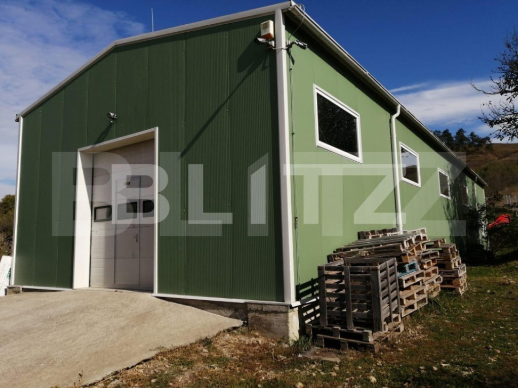 Hala industriala, 210 mp utili, 4100 mp teren, zona Bontida