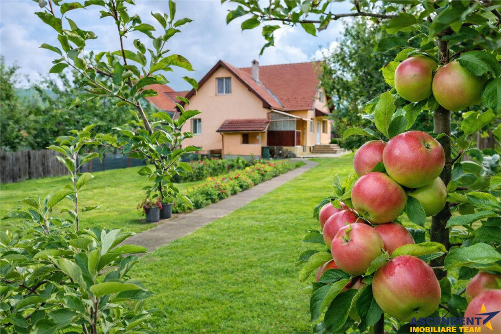 3D! Resedinta notabila,armonios cadru natural,faciliati,Cent