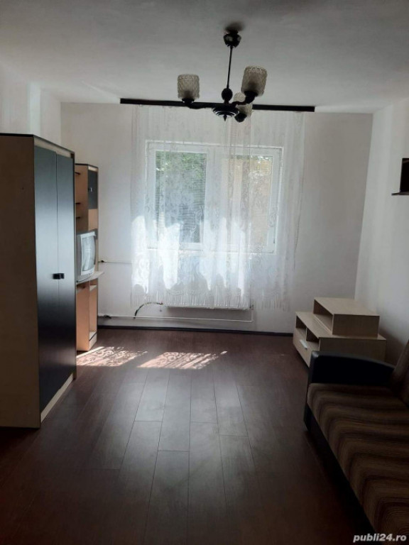 Garsoniera Buziasului