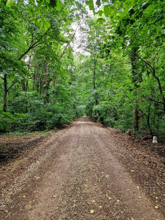 Teren intravilan 12.000mp - Padurea Baneasa