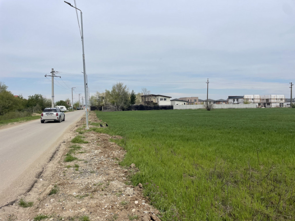 Domnești, Str Foișorului, 11470mp, deschidere 36ml, utilit