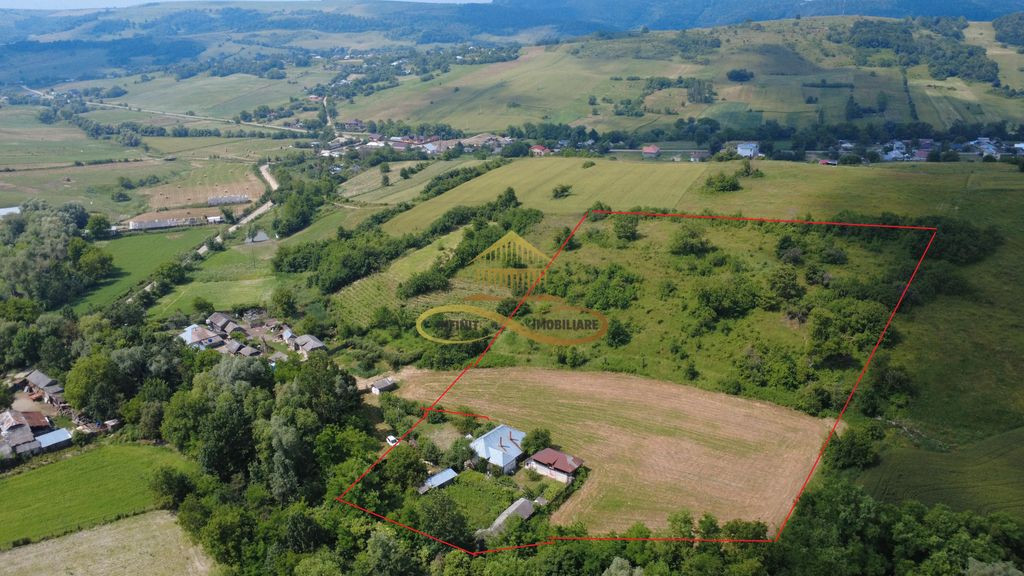 Casa batraneasca cu 2ha de teren de vanzare in sat Balaia...