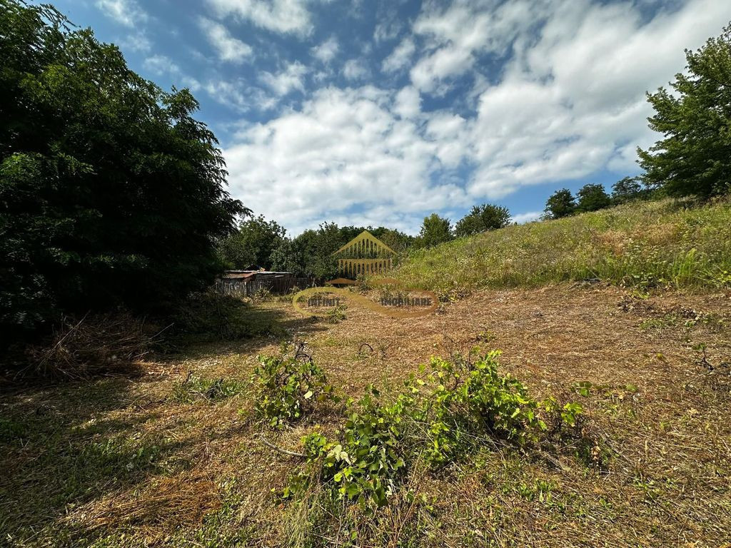 Teren extravilan 1870 mp-de vanzare 14€/mp Sohodol / Bacau