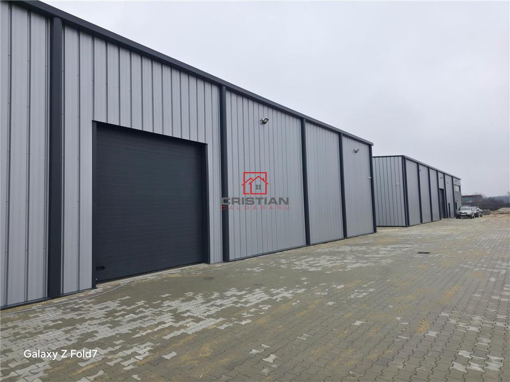 Depozit/hala/spatiu industrial Mogosoaia - Buftea