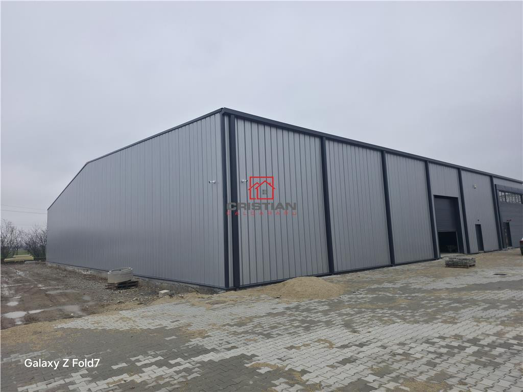 Depozit/hala/spatiu industrial Mogosoaia - Buftea