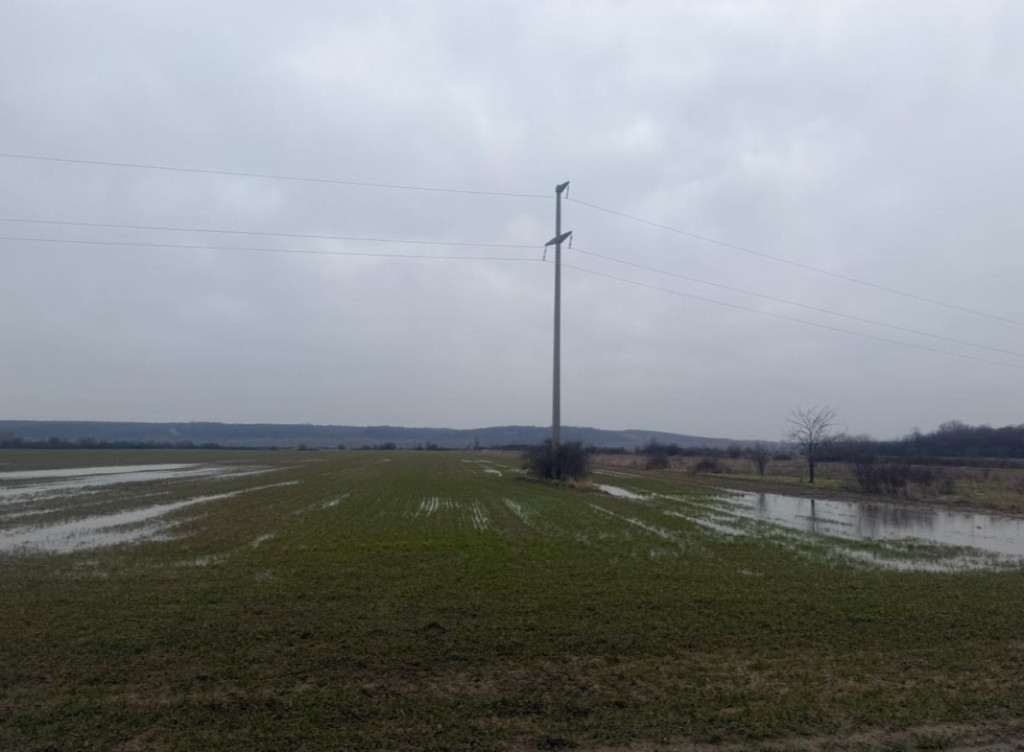 Teren extravilan 5000 , 2,5 euro mp BREASTA